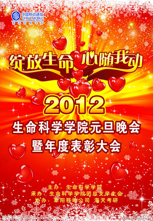 坦帕大学graduation certificate